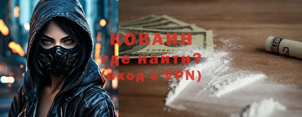 индика Яранск