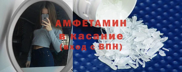 гидра Елабуга