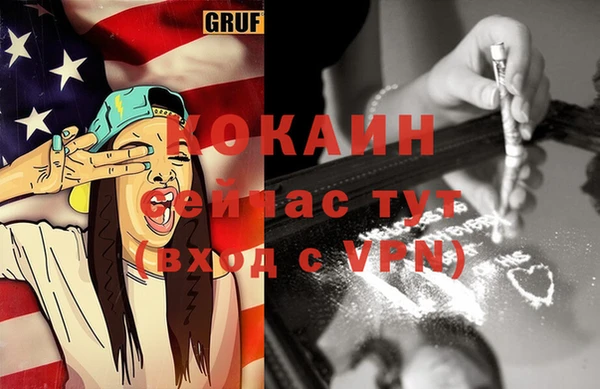 гидра Елабуга