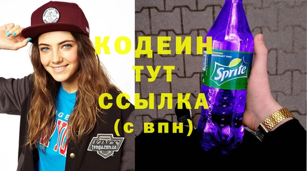 гидра Елабуга