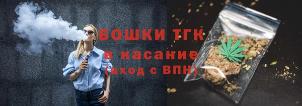 гидра Елабуга