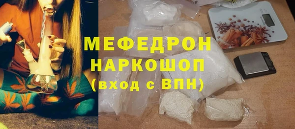 индика Яранск