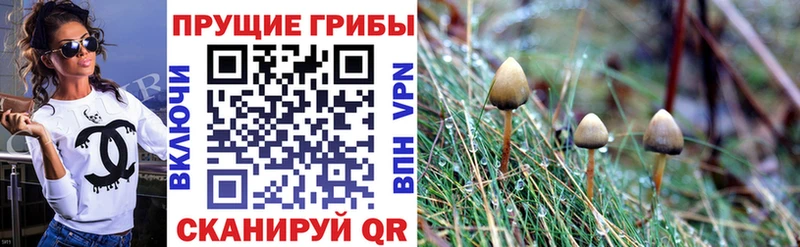 mega ТОР  Пестово  Галлюциногенные грибы прущие грибы 